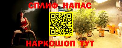 МДПВ Гай