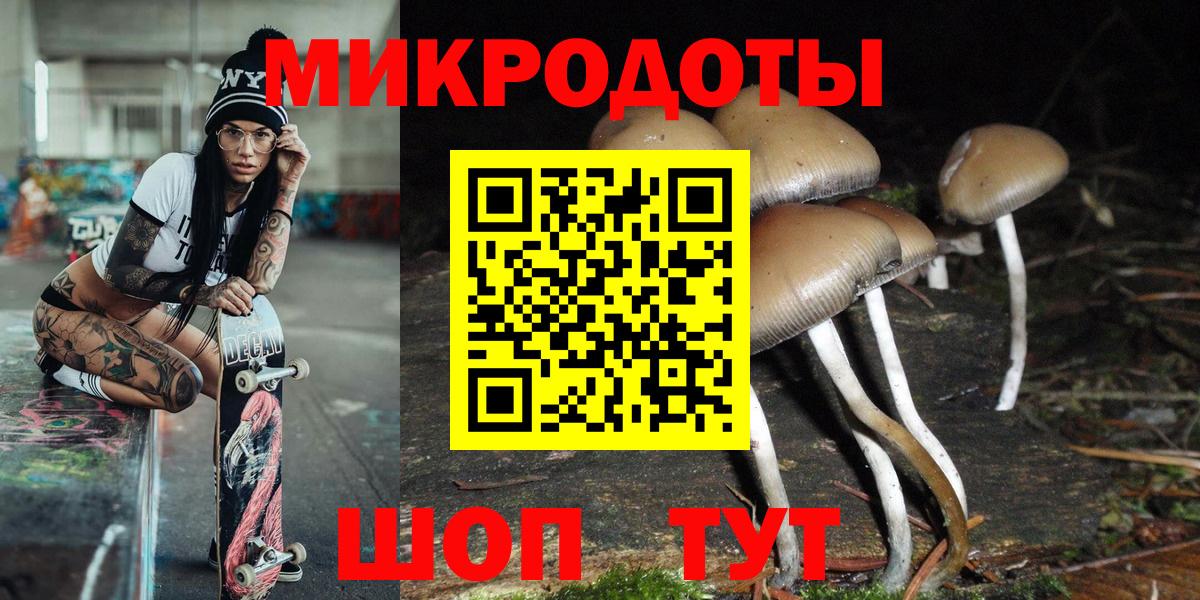 Миасс  Галлюциногенные грибы Psilocybine cubensis  Вход с VPN 